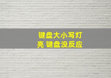 键盘大小写灯亮 键盘没反应